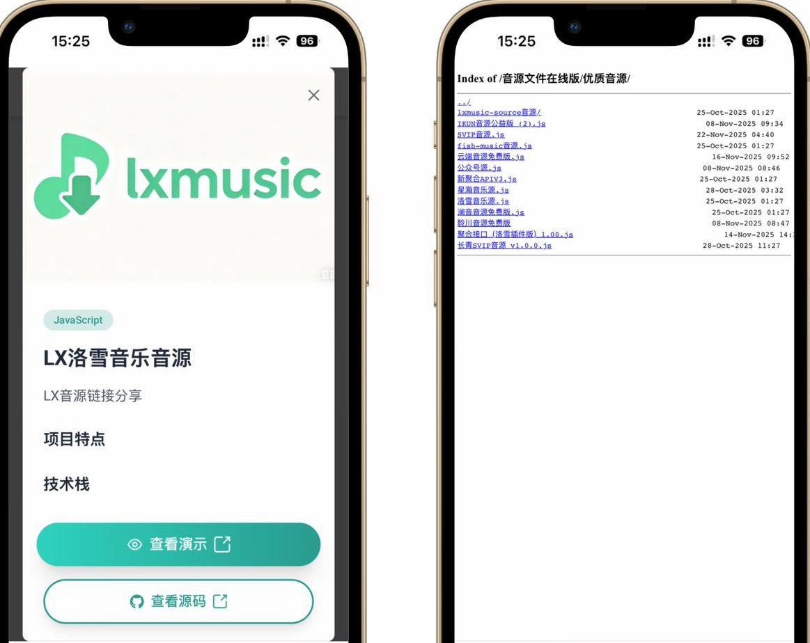 洛雪音乐音源 📱