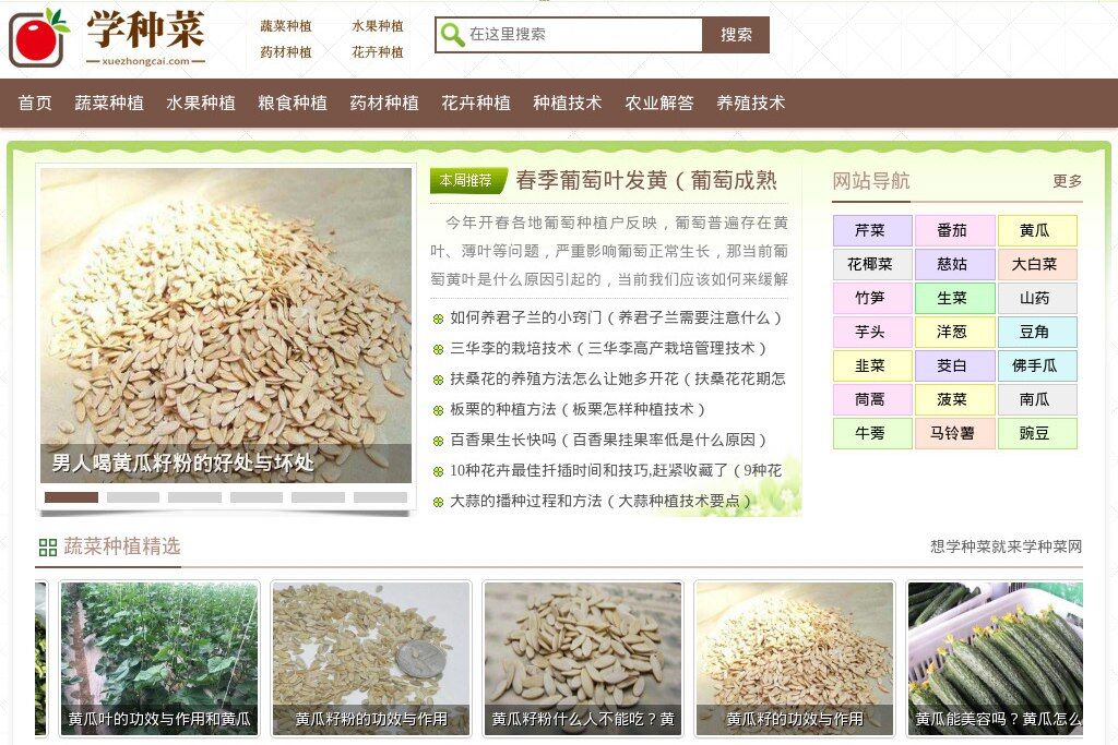 🍅 学种菜网 – 蔬菜种植知识大全-资源网